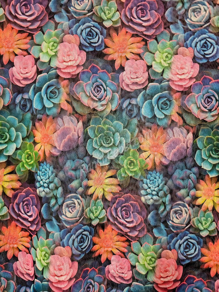 Succulent Mesh Top #5570