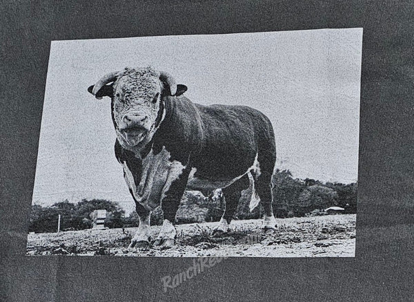 The Hereford Bull Tank #6235