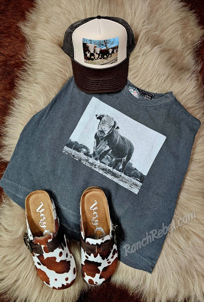 The Hereford Bull Tank #6235