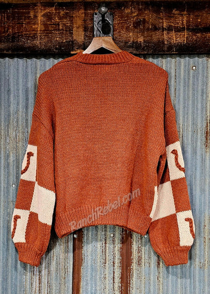 Brown Horseshoe Sweater Cardi #6522