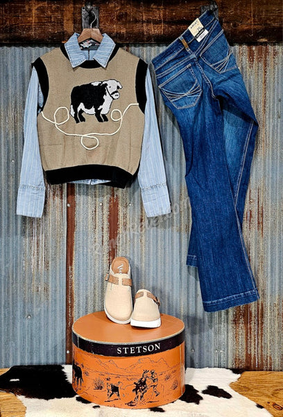 Retro Denim Stripe Pearl Snap #6511