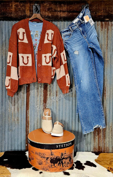 Brown Horseshoe Sweater Cardi #6522
