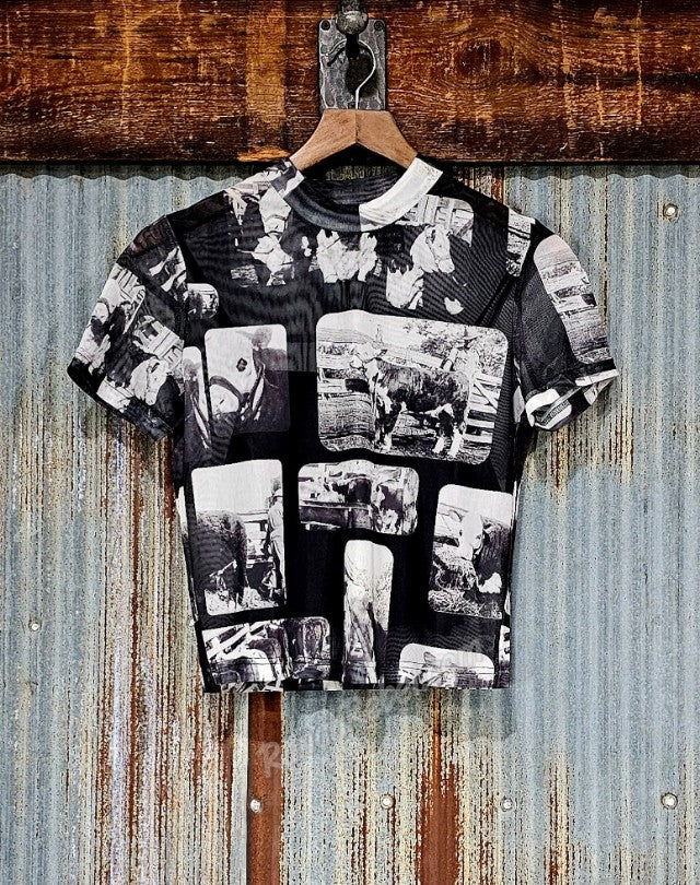 Hereford Mesh Crop #6706