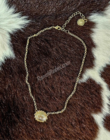 Dainty Gold Concho Necklace #6702