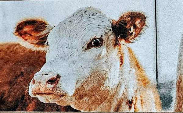 Hereford Heifer Boxy Tank #6761