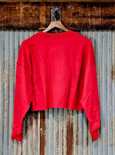 Nebraska Vault Vibe Cropped Sweatshirt #6888