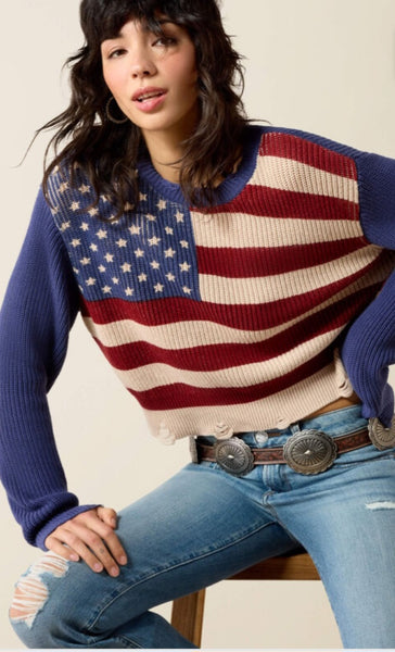 Ariat Americana Sweater #6742